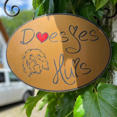 Appartement Doesjes Huis ナウムブルク エクステリア 写真