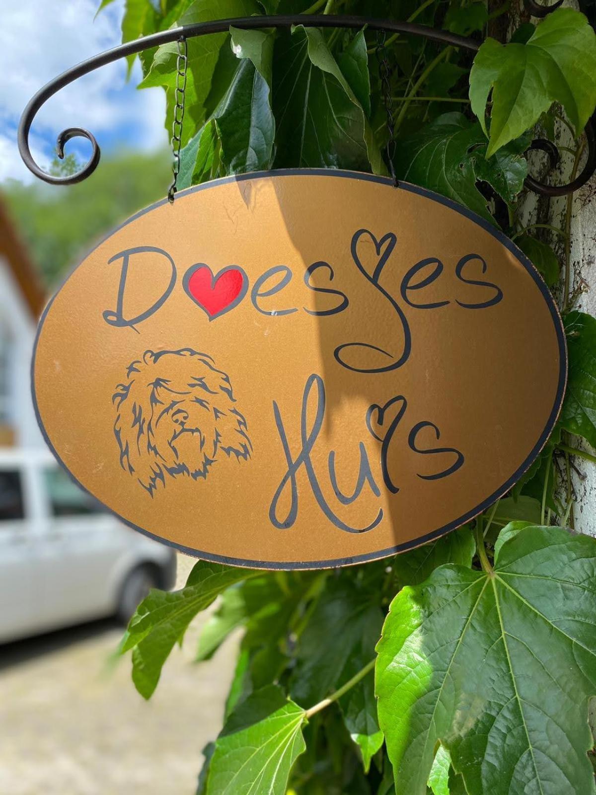 Appartement Doesjes Huis ナウムブルク エクステリア 写真